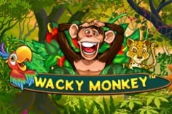 Wacky Monkey